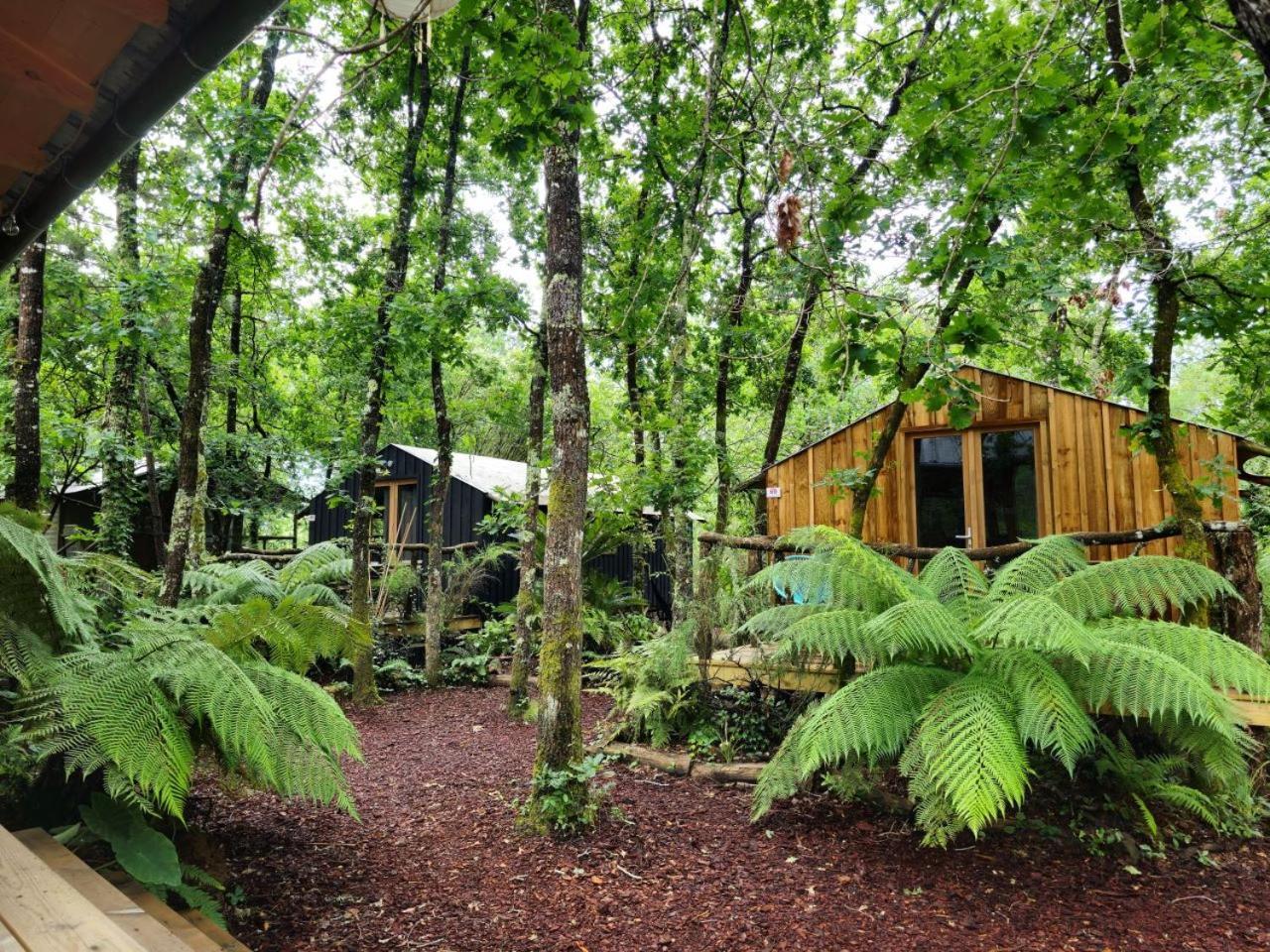 Camping Aux Couleurs Du Ferret เลเฌอ-แกป-เฟร์เร ภายนอก รูปภาพ