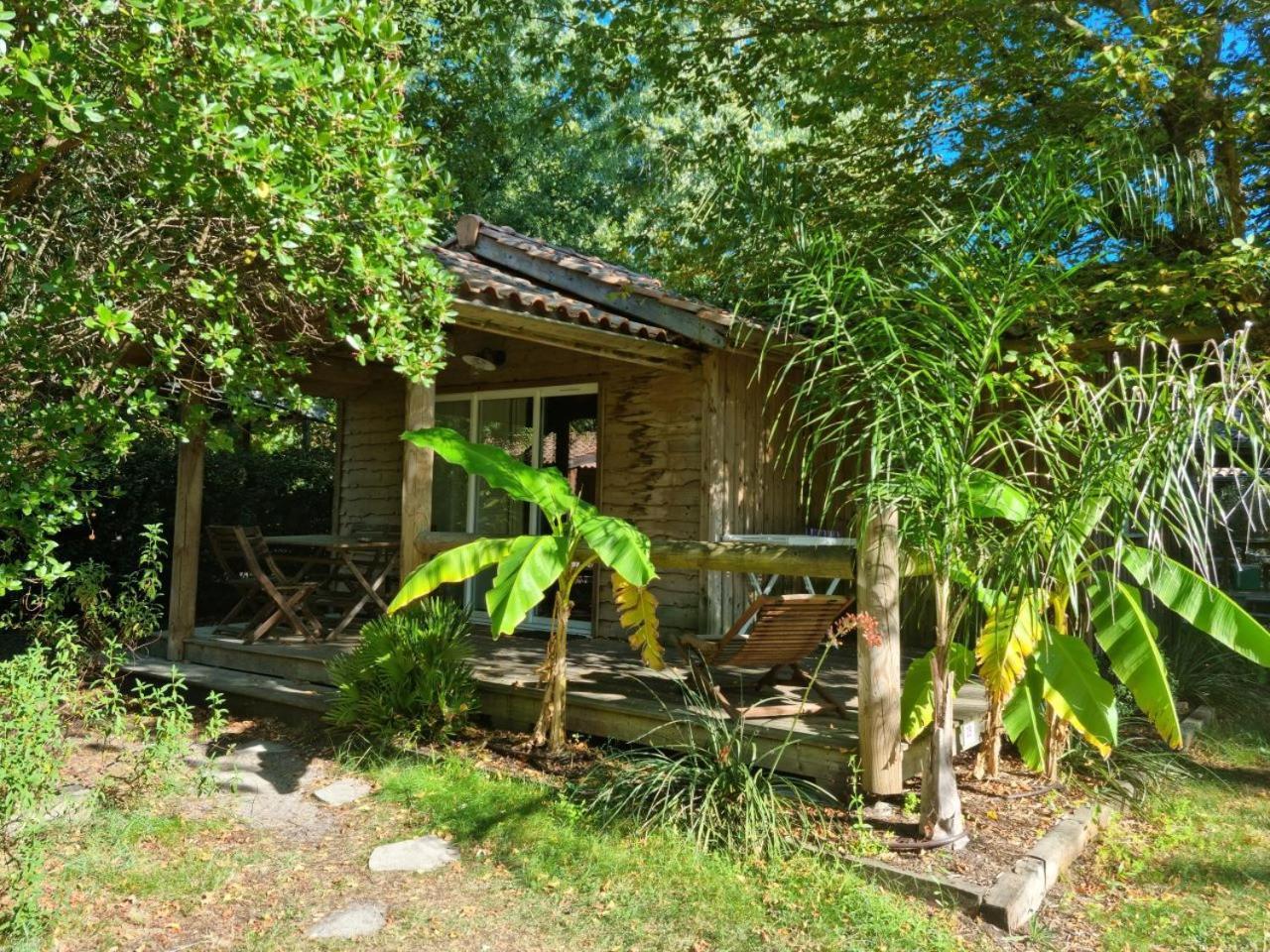 Camping Aux Couleurs Du Ferret เลเฌอ-แกป-เฟร์เร ภายนอก รูปภาพ