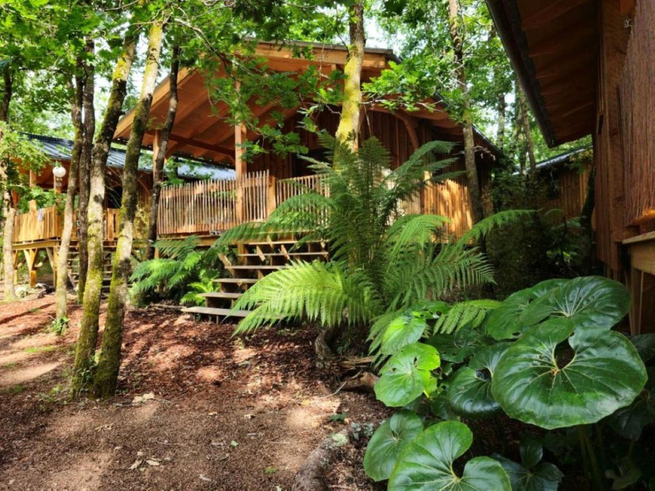 Camping Aux Couleurs Du Ferret เลเฌอ-แกป-เฟร์เร ภายนอก รูปภาพ